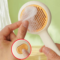 Pet Hair Removal Brush