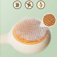 Pet Hair Removal Brush