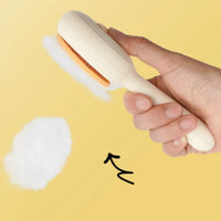 Pet Hair Removal Brush